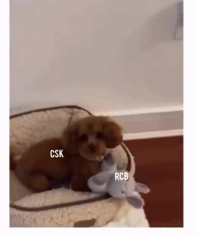 Leaked Highlights of CSK VS RCB