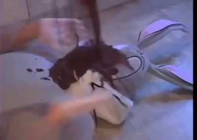 Space Jam (1996 - 1999) alternate ending (audio + video)