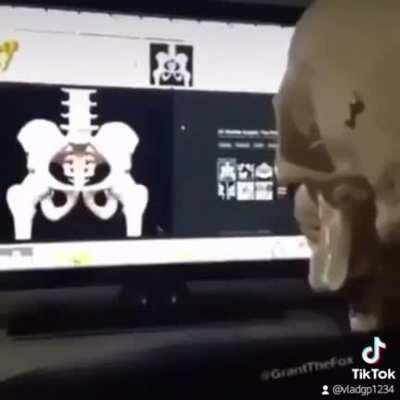 Last meme for the day I need to comit sleep