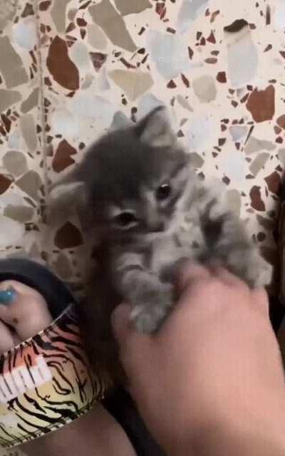 best feeling in the world