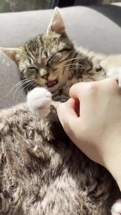 2022 model going from “sports mode” to “cruise mode” in mere seconds