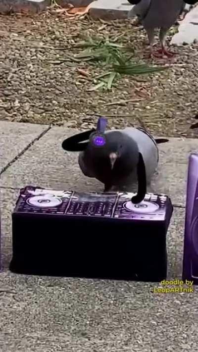 Did you see anything?