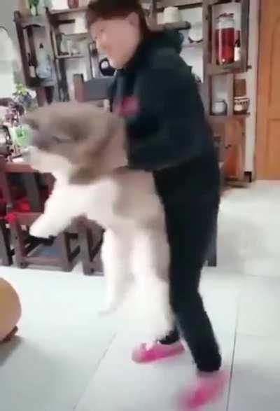 Road to the ultimate floof