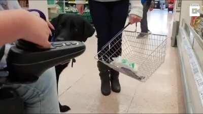 The absolute goodest of boys!