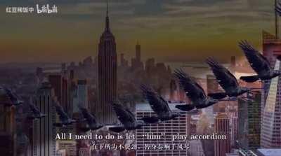 TrumTrum bizarre adventure: The Wall is unbreakable