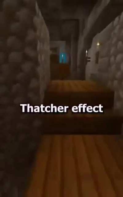Thatcher effect