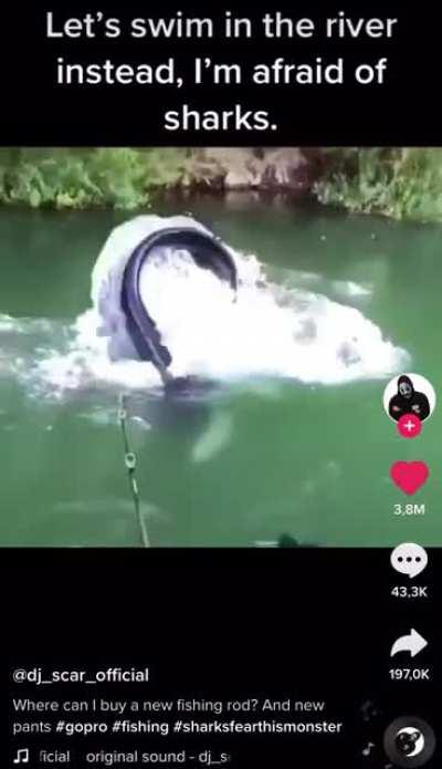 I feel like this belongs here