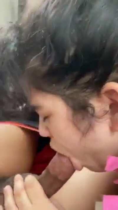 Albany treesh giving top