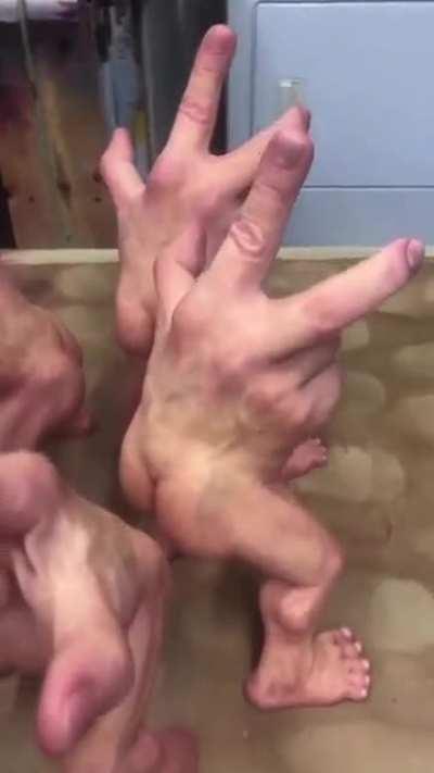 Hands? Fitting for today 