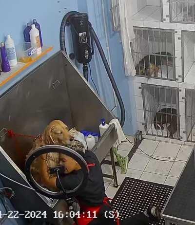 Y tu vida amorosa como va ? pues...