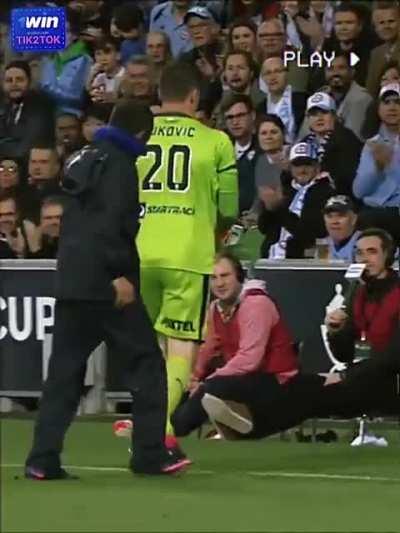 Birds Shouldn’t Play Football