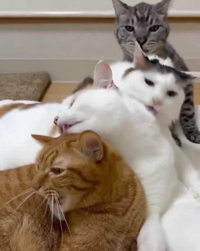 The pass it down method of cleaning.