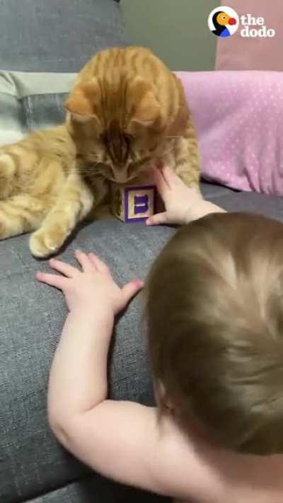 Cat believes himself as the guardian angel of his little sister.