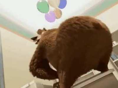 open season sussy confirmed