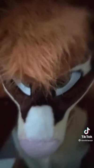 Yess... sirrr... whatever u say 😩😩😍😍