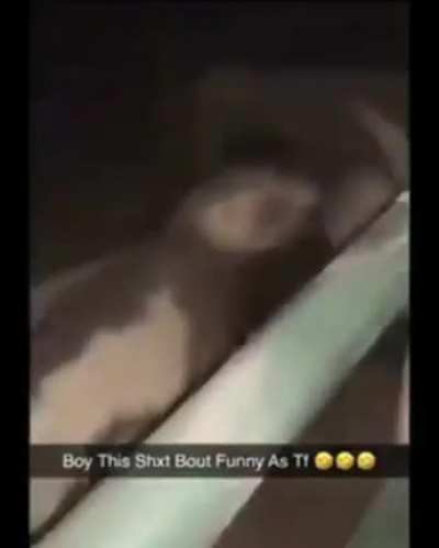 Guy gets his ass handed to him by an ass.