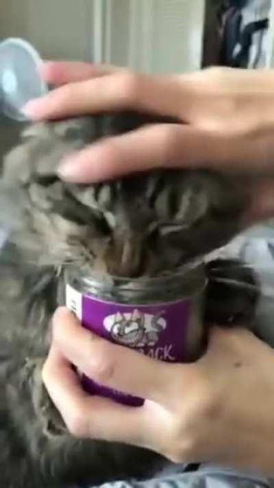 Must have...do not attempt to stop