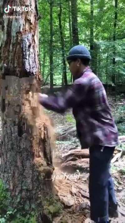 Who is gettin the wood first?