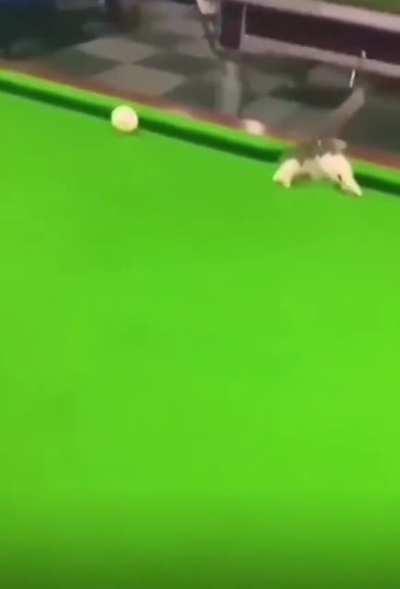 ball in the hole!😂