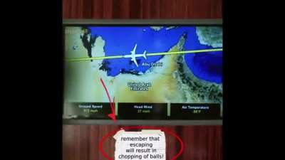 zhong xina JUMPS out of plane to AVOID PRISON @!!!!