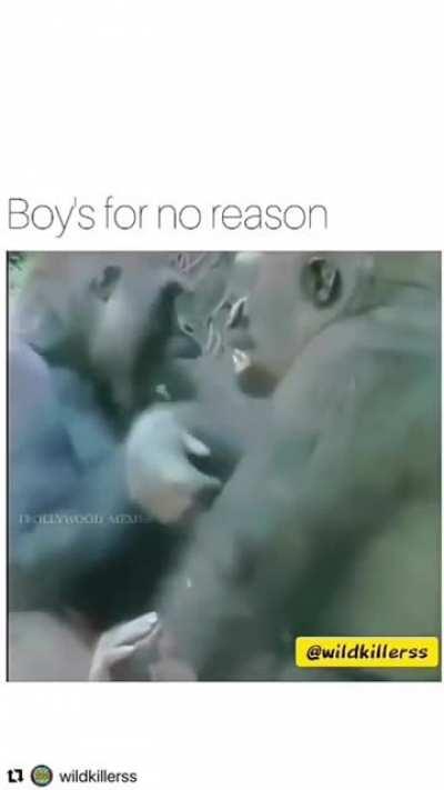 Most Primates have the same reaction to inappropriate touches just like us..