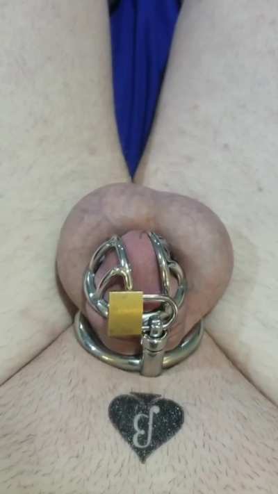 Jerking off has sure evolved since becoming perma-caged!