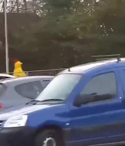 Get yo ass back here boi