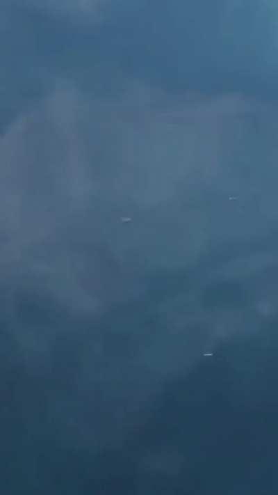 🔥 A pair of Oarfish swimming at the surface