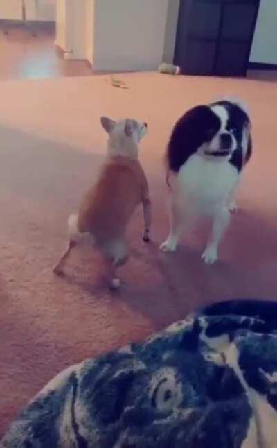 to impress the girlfriend