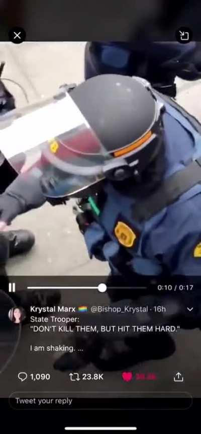 Cops at a Seattle protest.