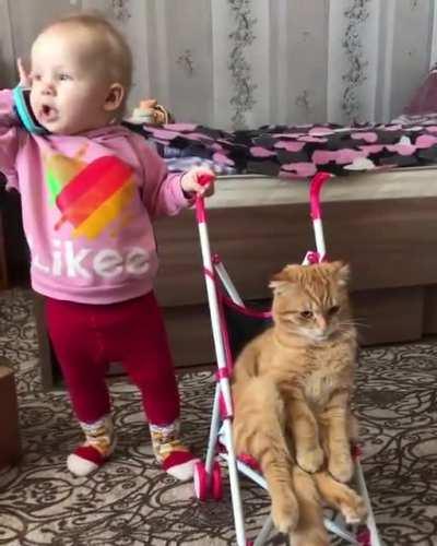 Hold on, I pass you to the cat