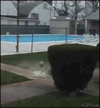 WCGW Throwing a soda bottle at the ground