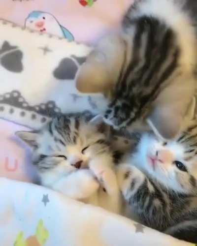 The kids are going to bed