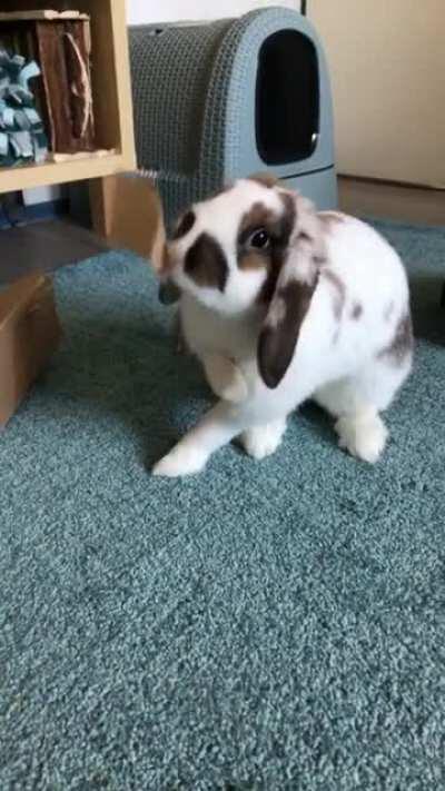 Stupid sticky piece of cardboard