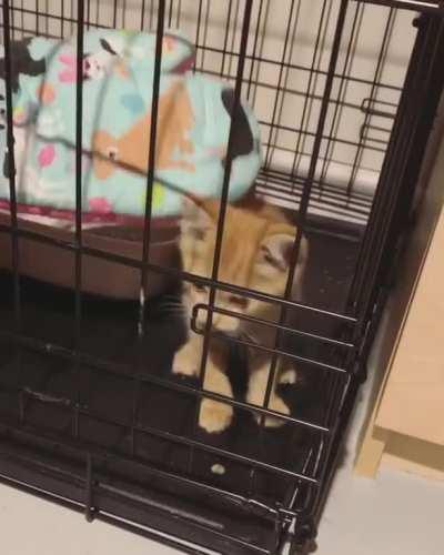 Socializing this spicy lady