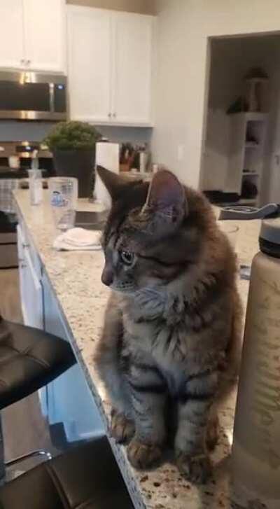 Cosmos's little morning squeaks make me smile