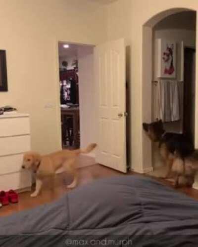 Дуракаваляние!