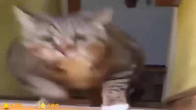 Me Entering r/Cleanagers only to see a karmawhore.