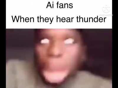 I made a meme of different fans in the series~