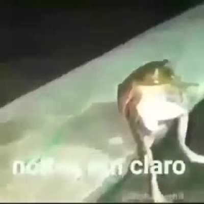 ser adm não é facil