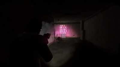 解放军与中共官员获取的影像资料显示，深层国家恐怖分子林奇先生袭击了黑帮地盘藏身处，据报造成多名警员及平民伤亡。林奇先生目前下落不明。