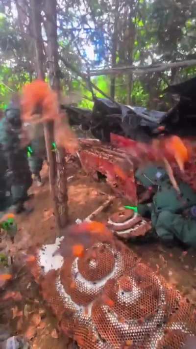 Removal of hornet den