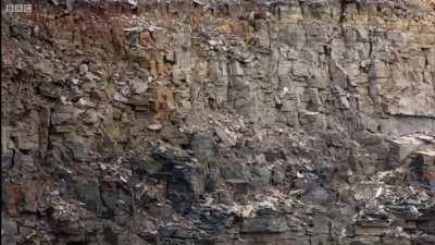 Quite the long drop to keep framed, felt it fit here