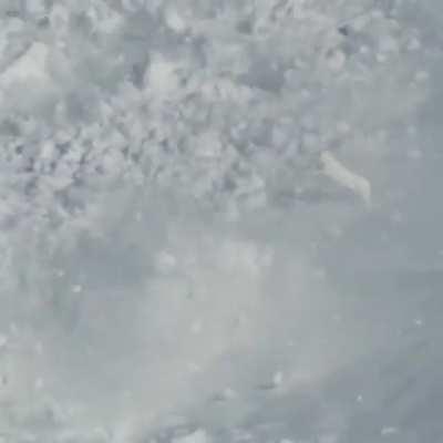 🔥 A fearless hare crossing a deadly avalanche in Kamchatka.