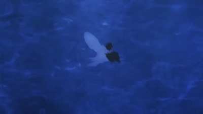 Hell Fire vs Gale Wind 2.0