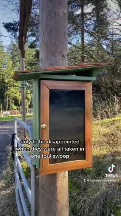 The Little Green Farm Library & The Mystery Box