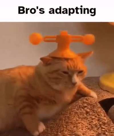 WITH THIS TREASURE I SUMMON