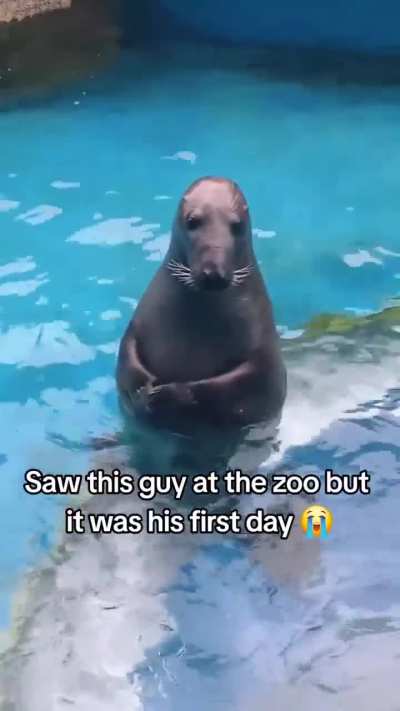 He's so shy 😭😭