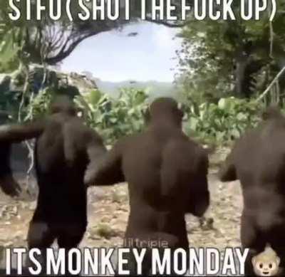 Idc what day of the week it is, comments