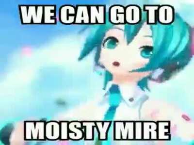 Miku fortnaiter